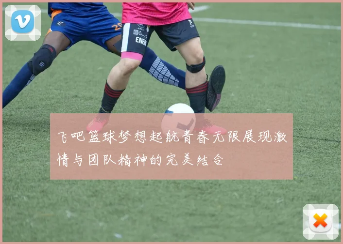 飞吧篮球梦想起航青春无限展现激情与团队精神的完美结合