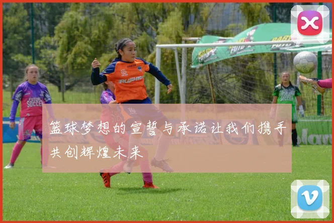 篮球梦想的宣誓与承诺让我们携手共创辉煌未来