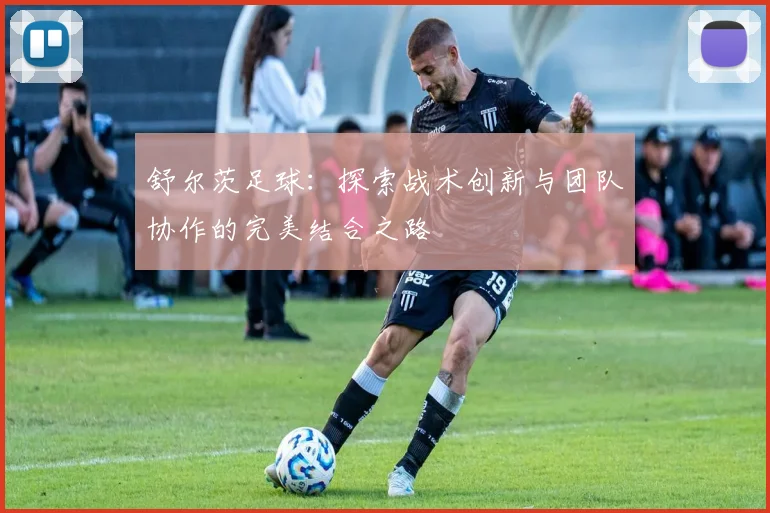 舒尔茨足球：探索战术创新与团队协作的完美结合之路