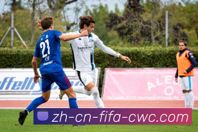 世界杯平台发展历程